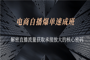 电商自播爆单速成班：解密直播流量获取承接放大的核心密码-小栈资源网