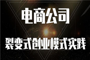 《电商公司裂变式创业模式实践》开拓更多项目 赚更多的钱-小栈资源网