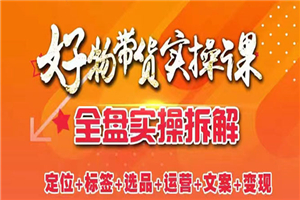 抖音好物带货实操课：全盘拆解抖音好物带货号全套流程打法-小栈资源网