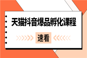 《天猫抖音爆品孵化课程》独家绝密新品引爆法-小栈资源网