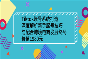 Tiktok账号系统打造，深度解析新手起号技巧与跨境电商发展终局价值1980元-小栈资源网