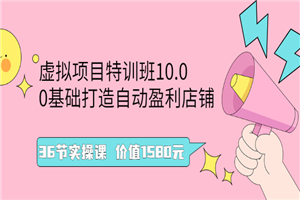 虚拟项目特训班10.0，0基础打造自动盈利店铺 36节实操课 价值1580元-小栈资源网