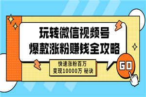 玩转微信视频号爆款涨粉赚钱全攻略，快速涨粉百万 变现10000万-小栈资源网