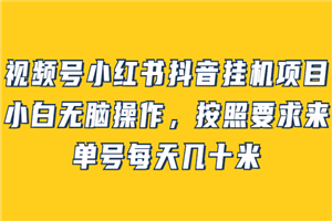 视频号小红书抖音挂机项目，小白无脑操作，按照要求来，单号每天几十米-小栈资源网