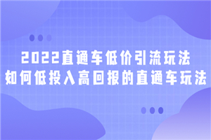 2022直通车低价引流玩法，教大家如何低投入高回报的直通车玩法-小栈资源网