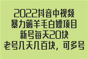 2022抖音中视频暴力薅羊毛白嫖项目：新号每天20块，老号几天几百块，可多号-小栈资源网