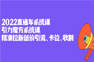 2022直通车系统课+引力魔方系统课，精准拉新低价引流、卡位、收割-小栈资源网