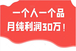 一个人一个品月纯利润30万的蓝海电商经典案例！-小栈资源网