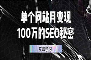 单个网站月变现100万的SEO秘密：如何百分百做出赚钱站点-小栈资源网
