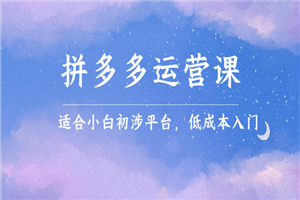 拼多多运营课，适合小白初涉平台，低成本入门 创造销量和利润的方法-小栈资源网