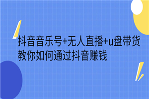 抖音音乐号+无人直播+u盘带货，教你如何通过抖音赚钱-小栈资源网