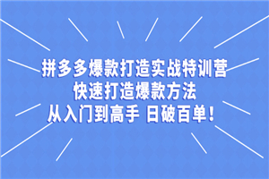 拼多多从入门到高手，爆款实战训练营日破百单-小栈资源网