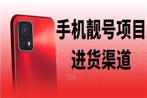 手机靓号几千利润玩法，附送进货渠道-小栈资源网
