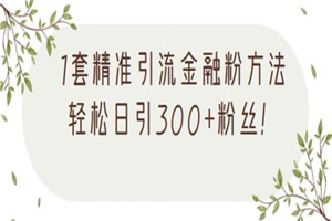 1套精准引流金融粉方法，轻松日引300+粉丝-小栈资源网