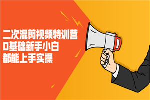 二次混剪视频特训营，0基础新手小白都能上手实操，两天开干-小栈资源网