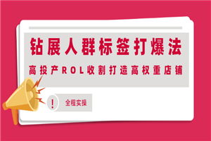 钻展人群标签打爆法，高投产ROL收割打造高权重店铺(全程实操)-小栈资源网