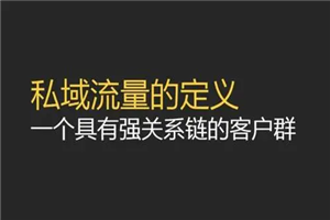 高效私域流量操盘手，马上学马上落地-小栈资源网