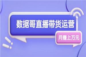 数据哥直播带货运营线上进阶课，让普通人也能靠直播月赚上万元-小栈资源网