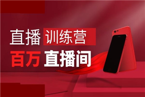 直播训练营：打造百万销售直播间 教会你如何直播带货，抓住直播大风口-小栈资源网