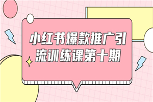 小红书爆款推广引流训练课第十期，手把手带你玩转小红书，轻松月入过万-小栈资源网