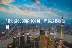 晓林冷门赚钱第15招10天赚6000的小项目，年底赚钱好项目-小栈资源网