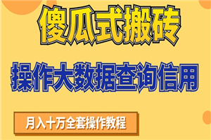 傻瓜式搬砖操作大数据查询信用赚钱方法：助你快速月入6万全套操作教程-小栈资源网