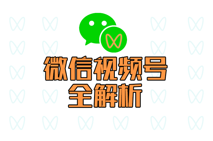 通过视频号搬运日赚3000元自动化赚钱教程（绝密分享）-小栈资源网