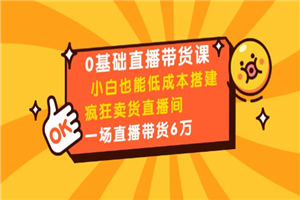 0基础直播带货课：小白也能低成本搭建疯狂卖货直播间：1场直播带货6万-小栈资源网