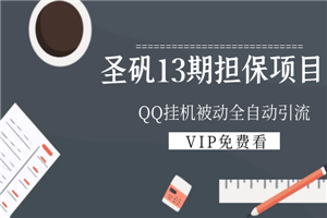 圣矾13期担保项目：QQ挂机被动全自动引流-小栈资源网