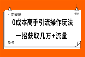 引流特训营：0成本高手引流操作玩法，一招获取几万+流量-小栈资源网