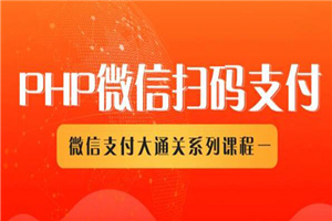 微信扫码支付系列课，支付接口接入必备技术，实现在线自动化收款-小栈资源网