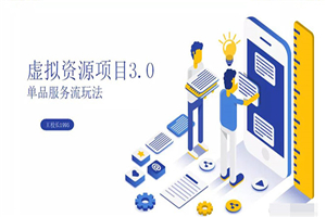 虚拟资源项目3.0（单品服务流玩法），单品利润在80元~600元左右-小栈资源网