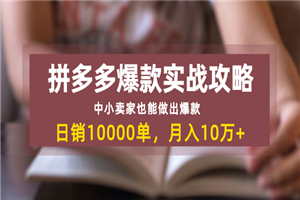 拼多多爆款实战攻略：中小卖家也能做出爆款，日销10000单-小栈资源网