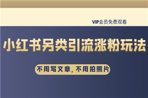 雨果：不用写文章，不用拍照片，小红书另类引流涨粉玩法-小栈资源网