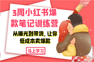 3周小红书爆款笔记训练营：从曝光到带货，让你低成本卖爆款-小栈资源网
