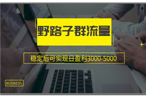 野路子群流量项目：稳定后可实现日盈利3000-5000-小栈资源网