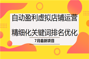 7月项目（3）自动盈利虚拟店铺运营，精细化关键词排名优化-小栈资源网