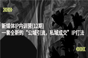 新媒体IP内训营(12期)，一套全新的“公域引流，私域成交”IP打法，直接带走-小栈资源网