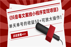 第四期大咖孵化营：抖音挂小程序项目正能量玩法，可以放大做！-小栈资源网