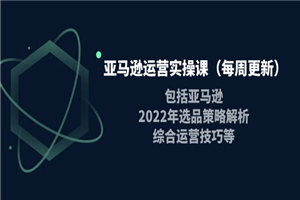 亚马逊运营实操课（每周更新）包括亚马逊2022选品策略解析，综合运营技巧等-小栈资源网