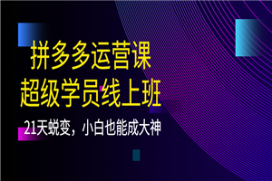 拼多多运营课：超级学员线上班，21天蜕变，小白也能成大神-小栈资源网