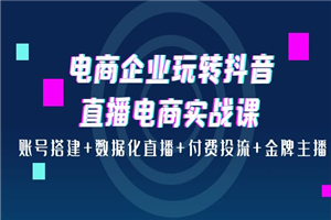 电商企业玩转抖音直播电商实战课：账号搭建+数据化直播+付费投流+金牌主播-小栈资源网
