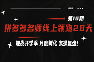 《拼多多名师线上领跑28天-第10期》迎战开学季 月度孵化 实操复盘！-小栈资源网