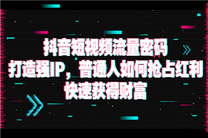抖音短视频流量密码：打造强IP，普通人如何抢占红利，快速获得财富-小栈资源网
