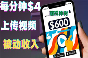 只需要上传视频然后每分钟赚4美元项目：详细操作步骤，新手也可操作-小栈资源网