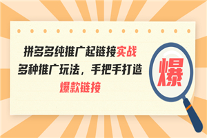 拼多多纯推广起链接实战：多种推广玩法，手把手打造爆款链接-小栈资源网