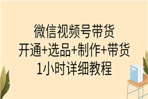 陈奶爸·微信视频号带货：开通+选品+制作+带货（1小时详细教程）-小栈资源网