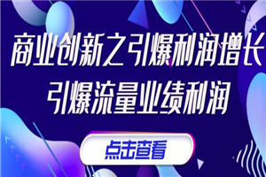 张琦《商业创新之引爆利润增长》引爆流量业绩利润-小栈资源网