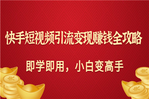 快手短视频引流变现赚钱全攻略：即学即用，小白变高手（价值398元）-小栈资源网