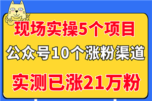 现场实操5个公众号项目，10个涨粉渠道，实测已涨21万粉！-小栈资源网